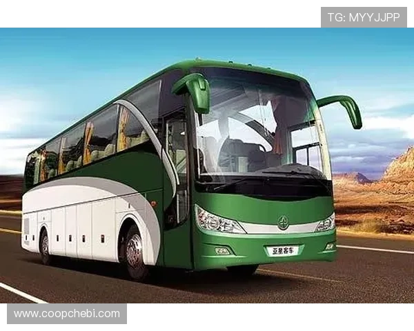 亚星YBL6980型客车的最新市场报价与购买指南，帮助用户选择性价比最高的长途客车解决方案