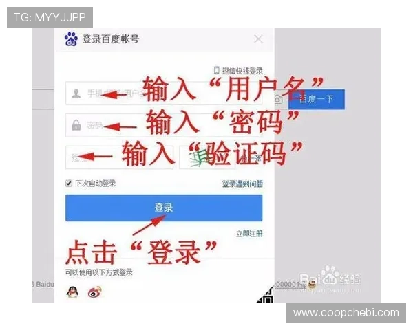 亚星在线登录验证码常见问题及解决方法详解帮助用户顺利登录游戏