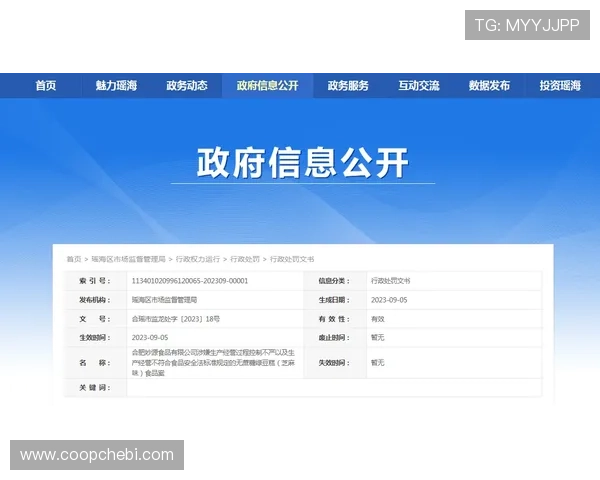 亚星娱乐真人版全站登录安全保障措施，确保玩家账号信息安全与顺畅登录体验