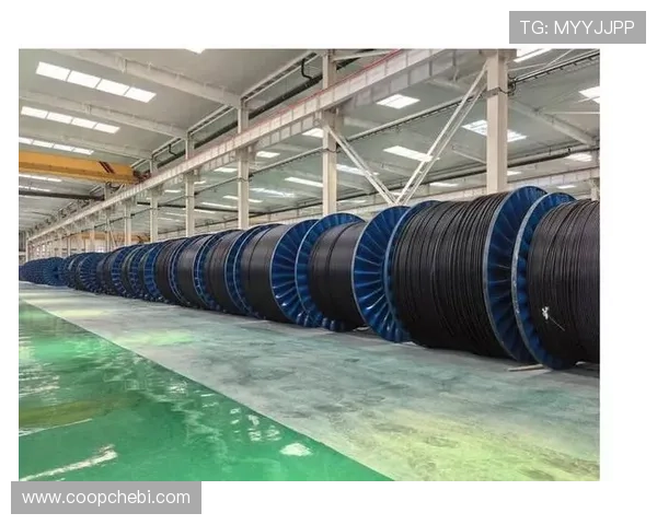 亚星线缆集团有限公司未来发展战略与创新布局深度剖析引领行业新趋势