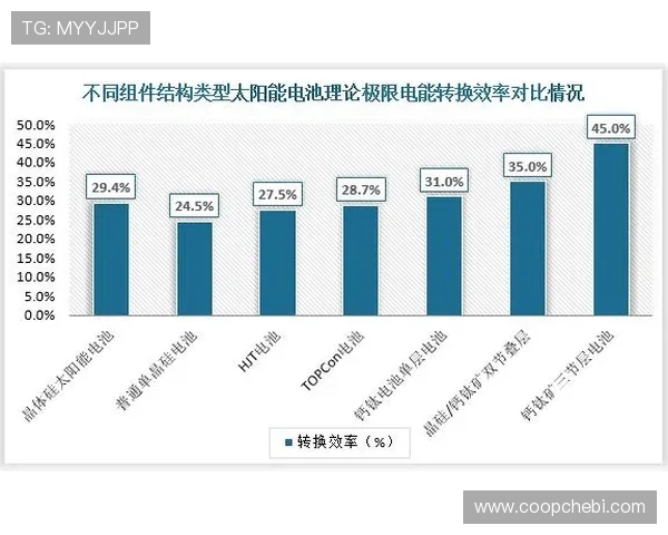 深入探讨亚星正网的运营模式与发展前景,了解行业趋势 深入探讨亚星正网的运营模式与发展前景,了解行业趋势