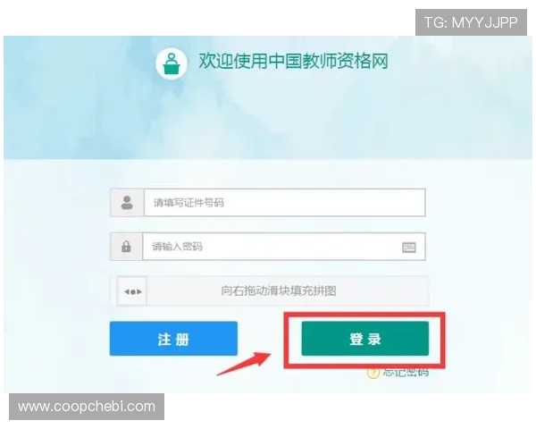 亚星娱乐官方登录入口网站最新登录地址及安全验证流程详解
